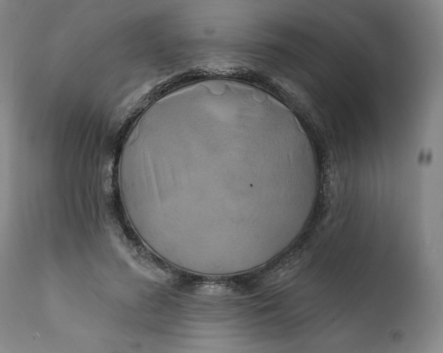 X0000111240596200907161343