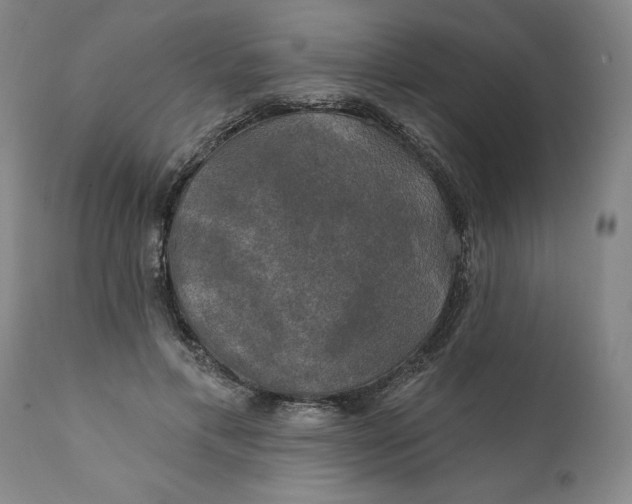 X0000111240597200907161343