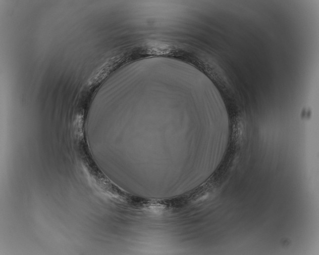 X0000111240598200907161343