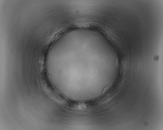 X0000111240600200907161343