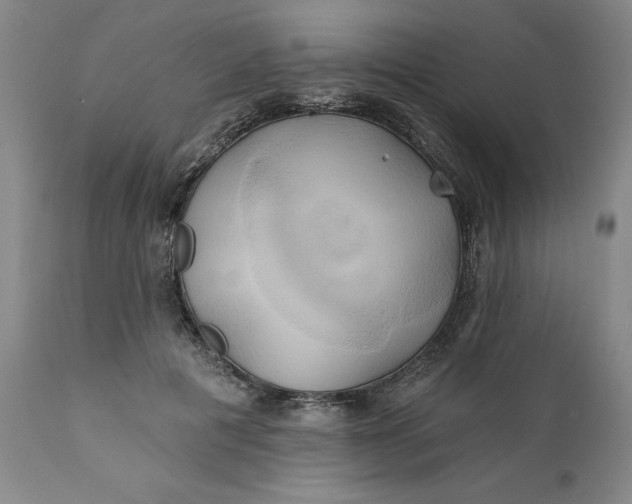 X0000111240601200907161343