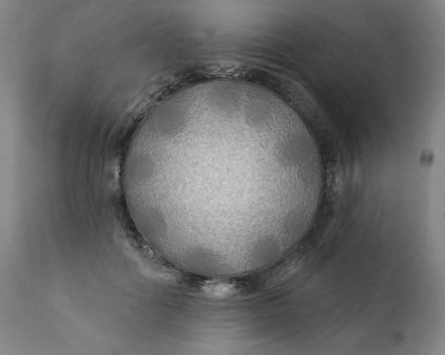 X0000111240602200907161343