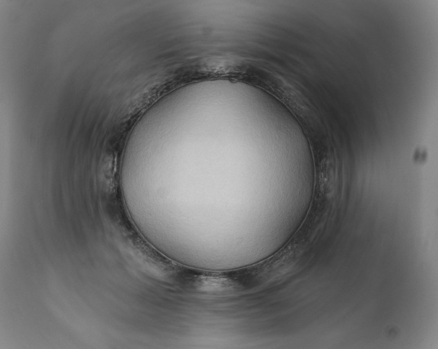 X0000111240605200907161343