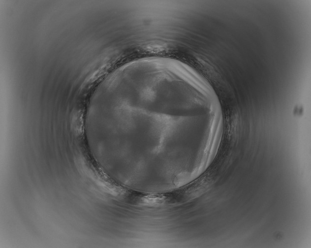 X0000111240606200907161343