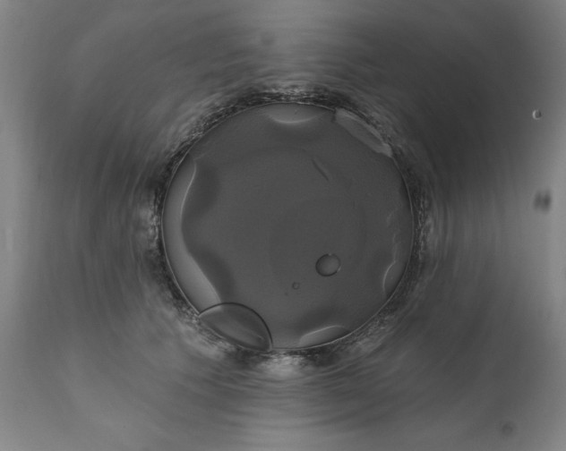 X0000111240609200907161343