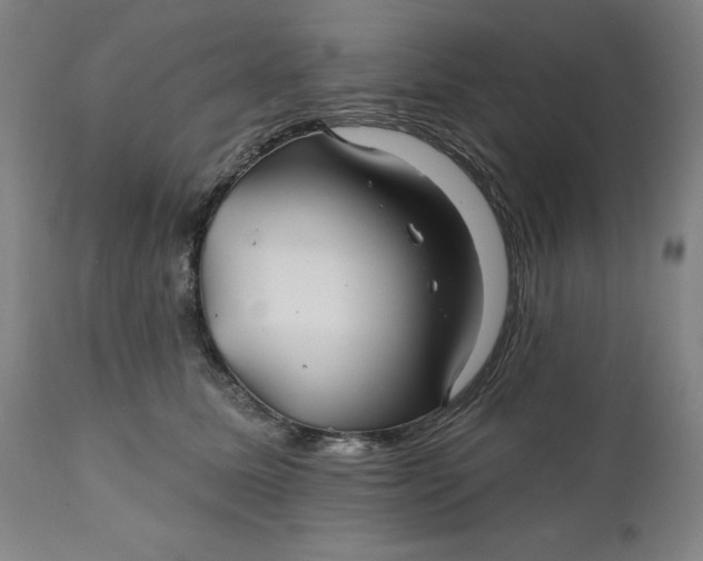 X0000111240611200907161343