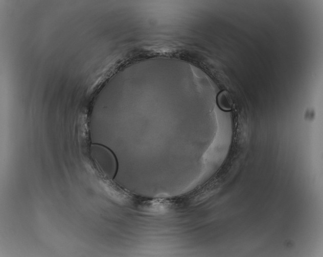 X0000111240612200907161343