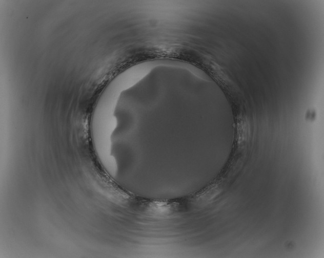 X0000111240613200907161343