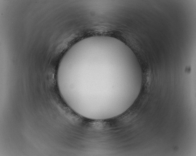 X0000111240615200907161343