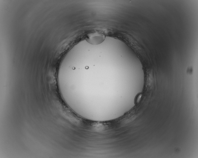 X0000111240616200907161343