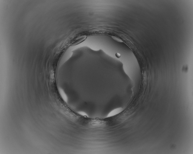 X0000111240617200907161343