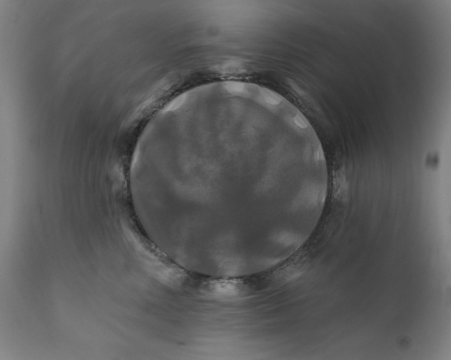 X0000111240618200907161343