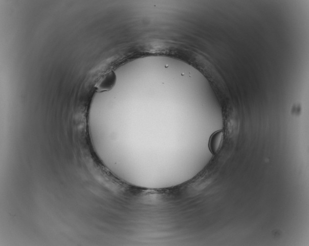 X0000111240620200907161343