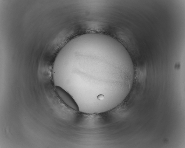 X0000111240621200907161343