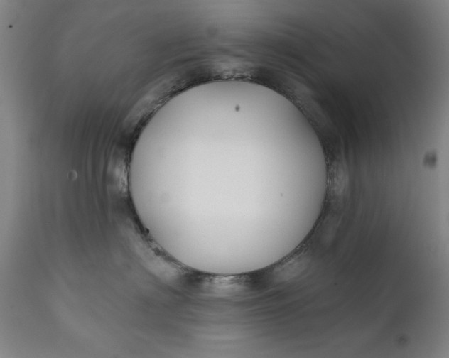 X0000111240622200907161343