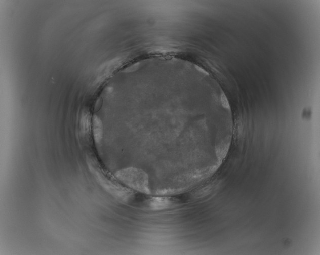 X0000111240623200907161343