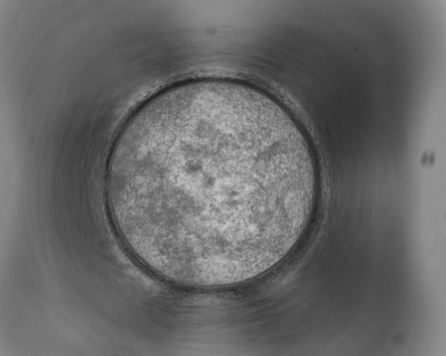 X0000111240625200907161342