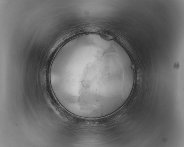 X0000111240626200907161342