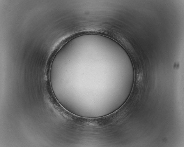 X0000111240628200907161342