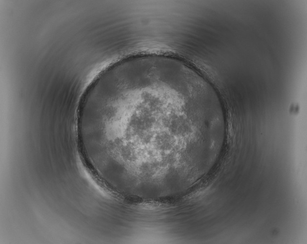 X0000111240630200907161342