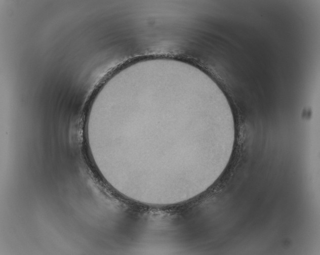 X0000111240632200907161342