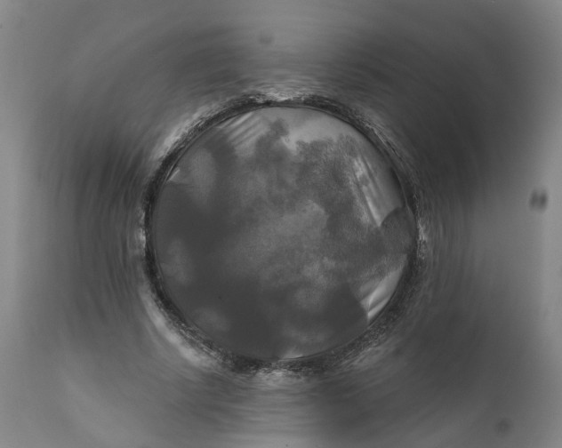 X0000111240634200907161342