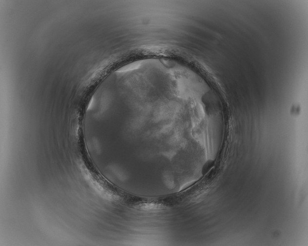 X0000111240637200907161342