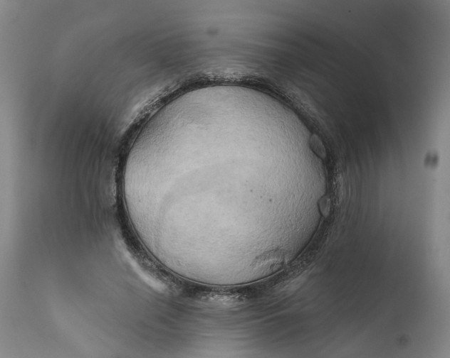 X0000111240638200907161342