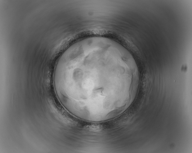 X0000111240639200907161342