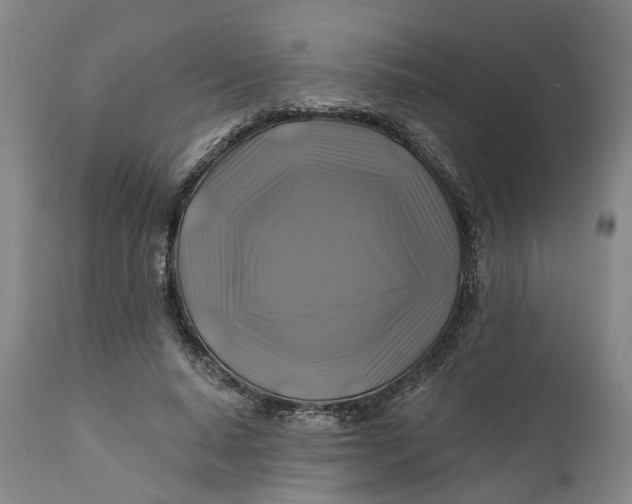 X0000111240640200907161342