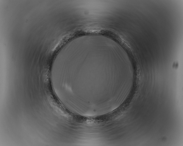 X0000111240641200907161342