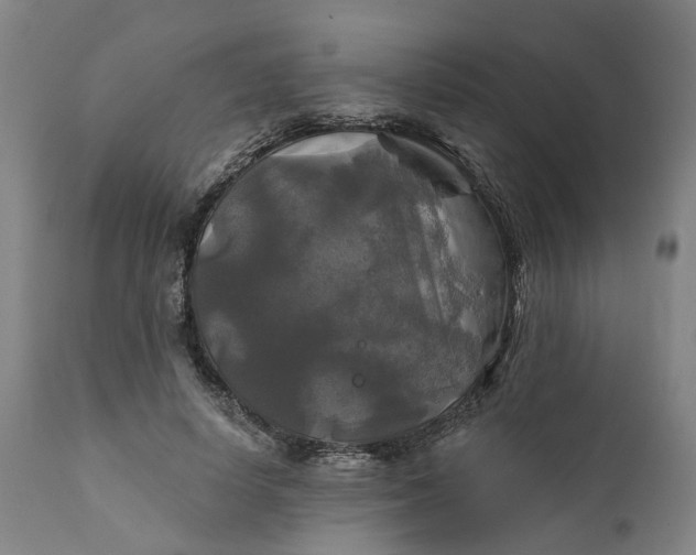 X0000111240642200907161342