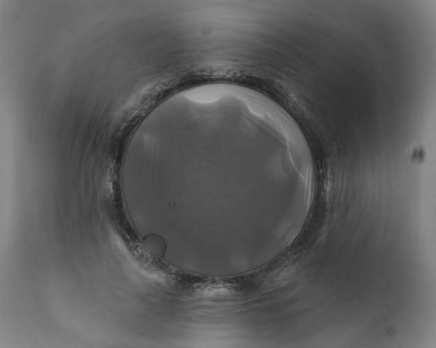 X0000111240643200907161342