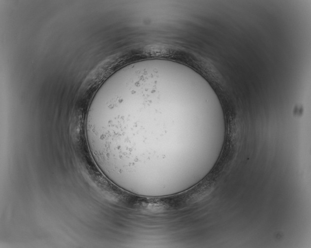 X0000111240645200907161342