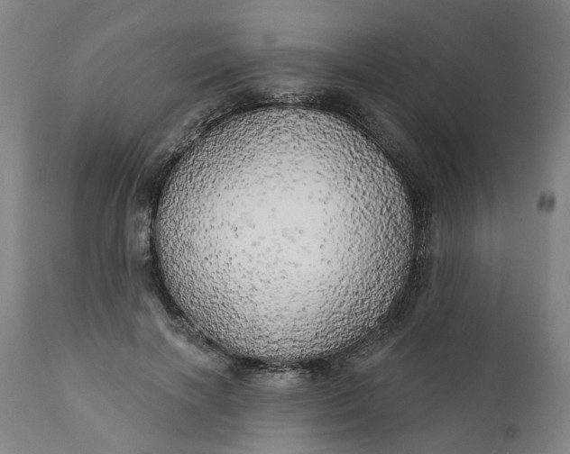 X0000111240646200907161342