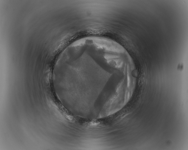 X0000111240647200907161342