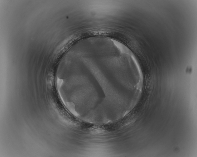 X0000111240648200907161342