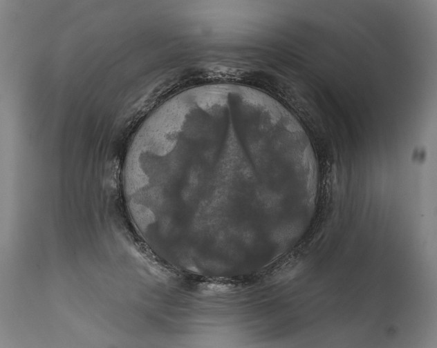 X0000111240649200907161342