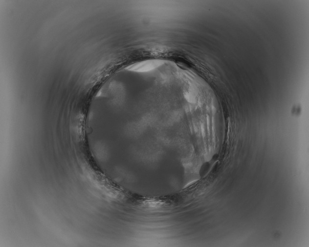 X0000111240650200907161342