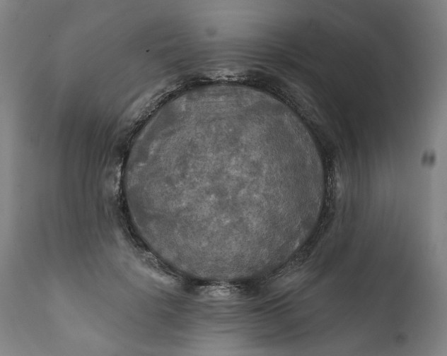 X0000111240652200907161342