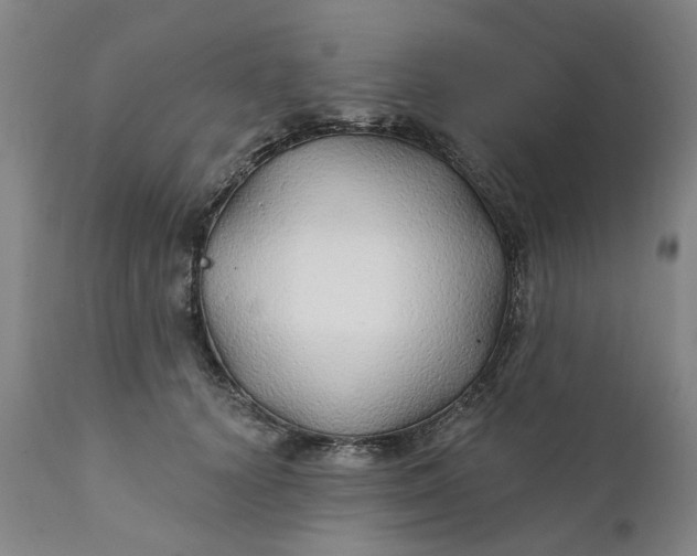 X0000111240656200907161343