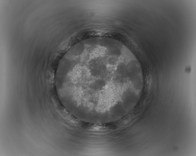 X0000111240657200907161343