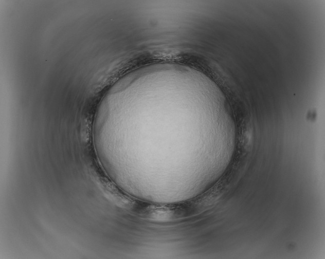 X0000111240658200907161343