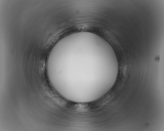 X0000111240660200907161343