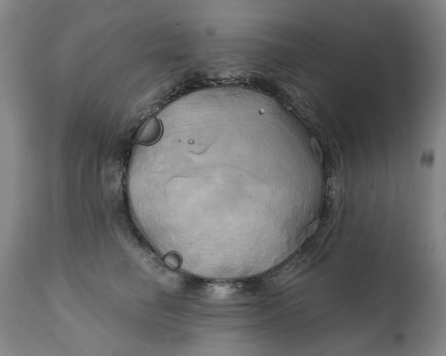 X0000111240662200907161343