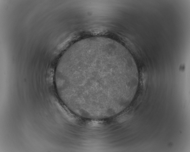 X0000111240664200907161343