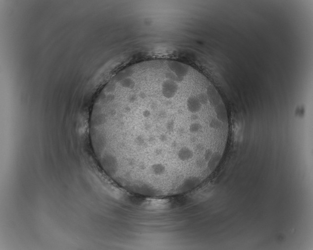 X0000111240665200907161343