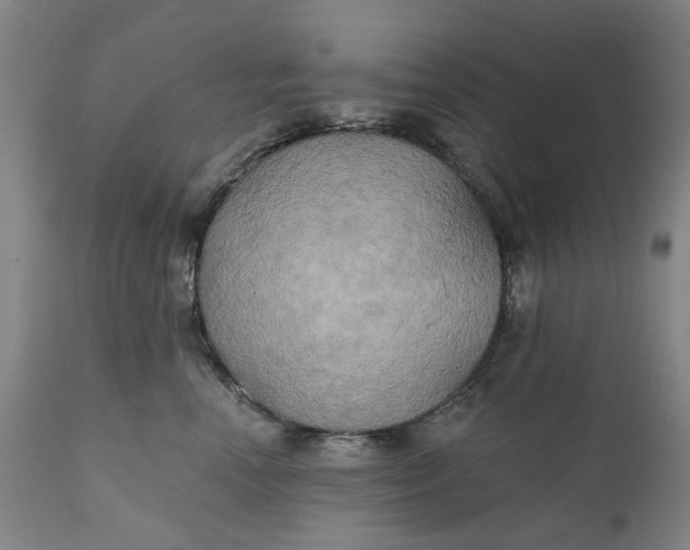 X0000111240666200907161343