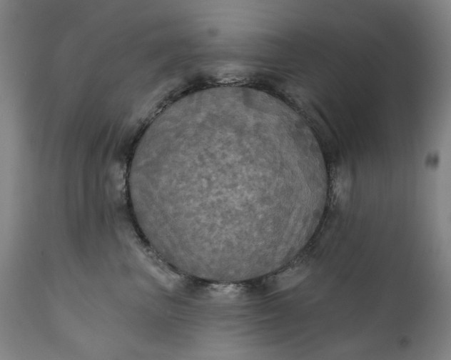 X0000111240667200907161343