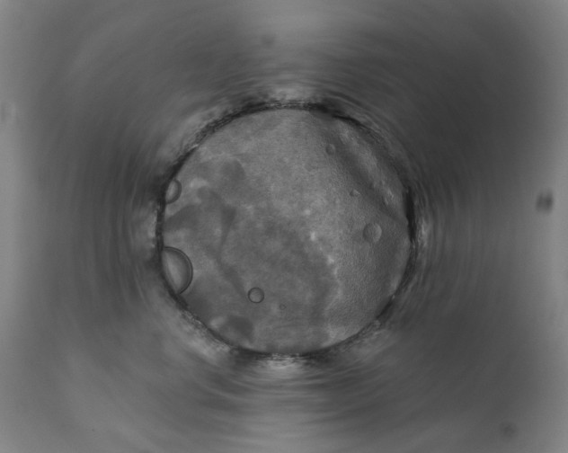 X0000111240668200907161343